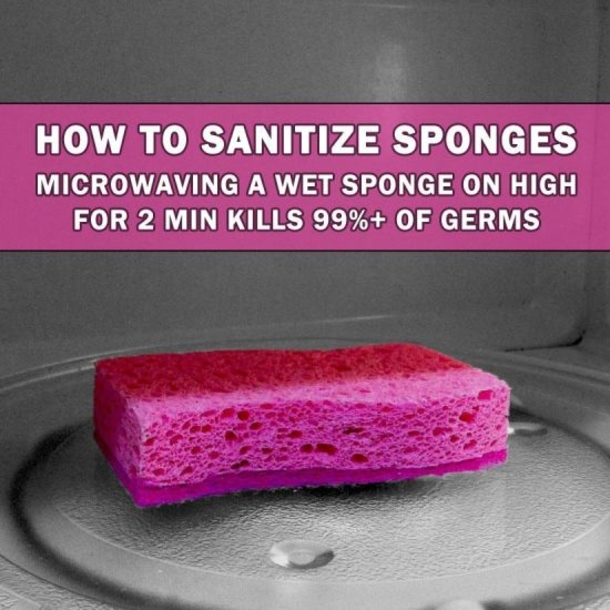 Every Time She Finishes Using Her Kitchen Sponge.   She Does THIS...The Reason Why Is SO Important! - picture 3