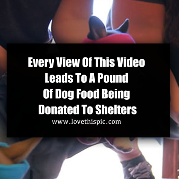 Every View Of This Video Leads To A Pound Of Dog Food Being Donated To Shelters
