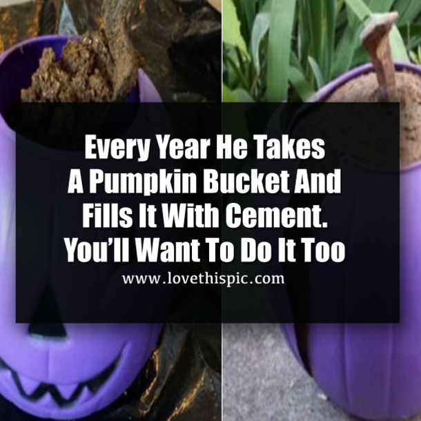 Every Year He Takes A Pumpkin Bucket And Fills It With Cement. You’ll Want To Do It Too