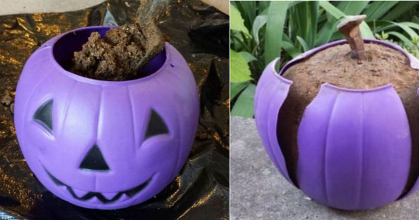 Every Year He Takes A Pumpkin Bucket And Fills It With Cement. You’ll Want To Do It Too - picture 2