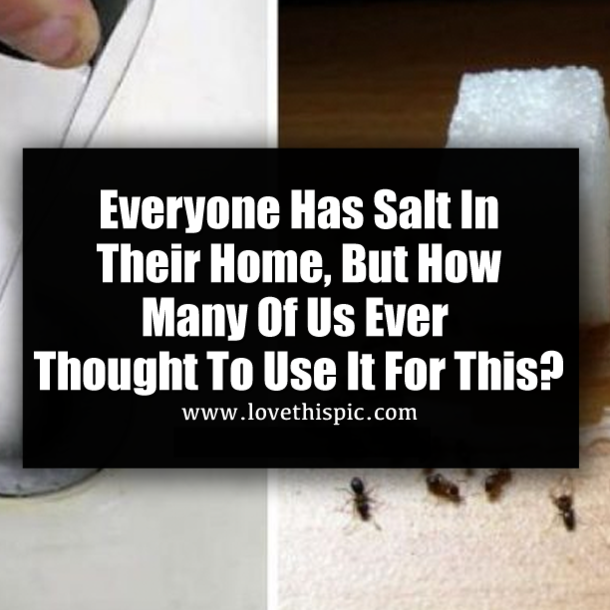Everyone Has Salt In Their Home, But How Many Of Us Ever Thought To Use It For This?