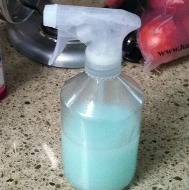 Everyone Wanted To Know How Her Home Always Smelled So AMAZING. This Is The Secret... - picture 6