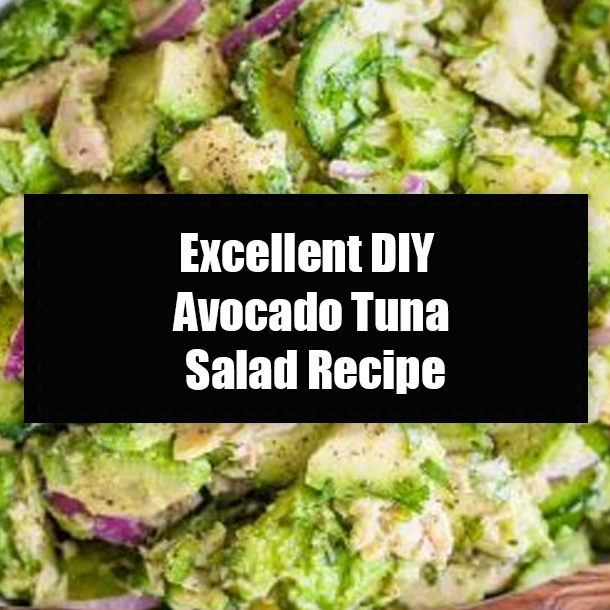 Excellent DIY Avocado Tuna Salad Recipe