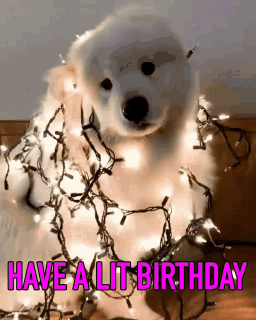Exciting Happy Birthday Gifs And Quotes - picture 9