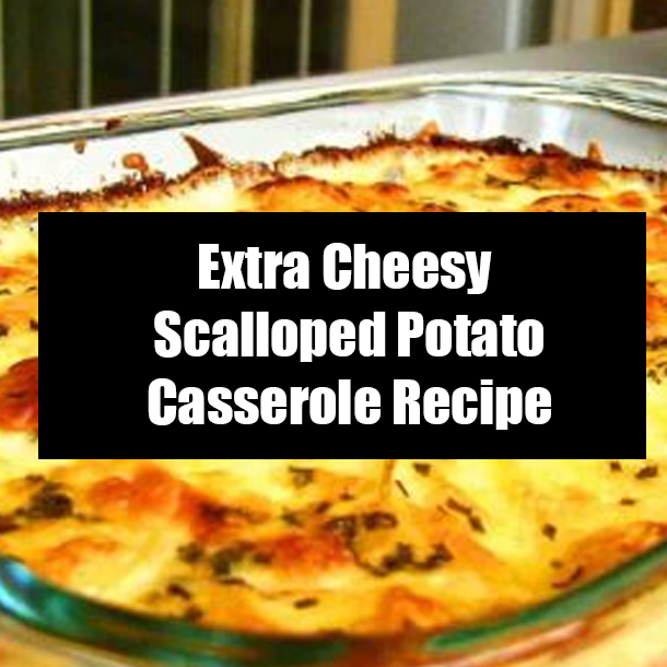 Extra Cheesy Scalloped Potato Casserole Recipe