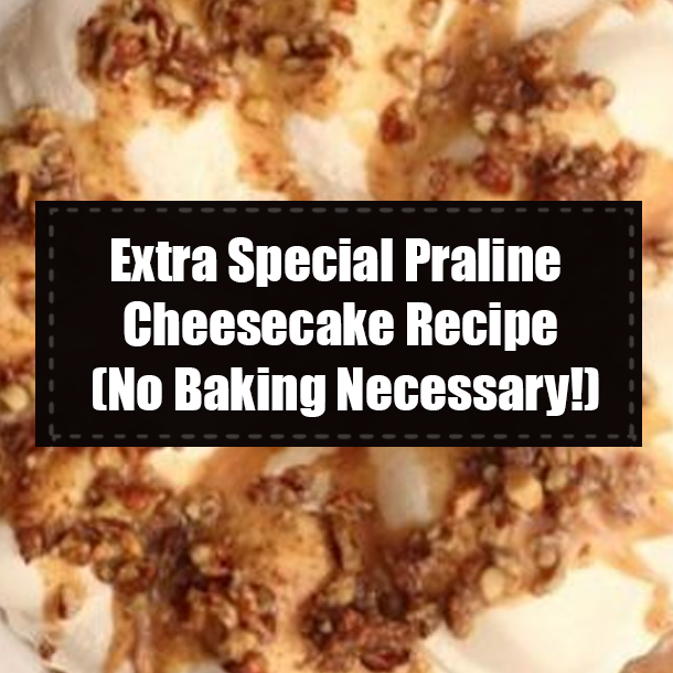 Extra Special Praline Cheesecake Recipe (No Baking Necessary!)