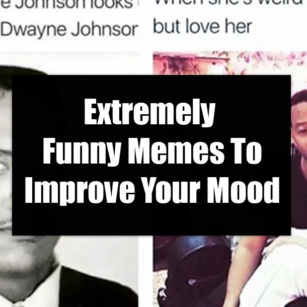 Extremely Funny Memes To Improve Your Mood