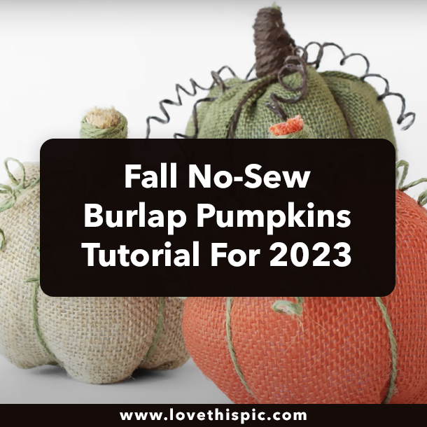 Fall No-Sew Burlap Pumpkins Tutorial For 2023