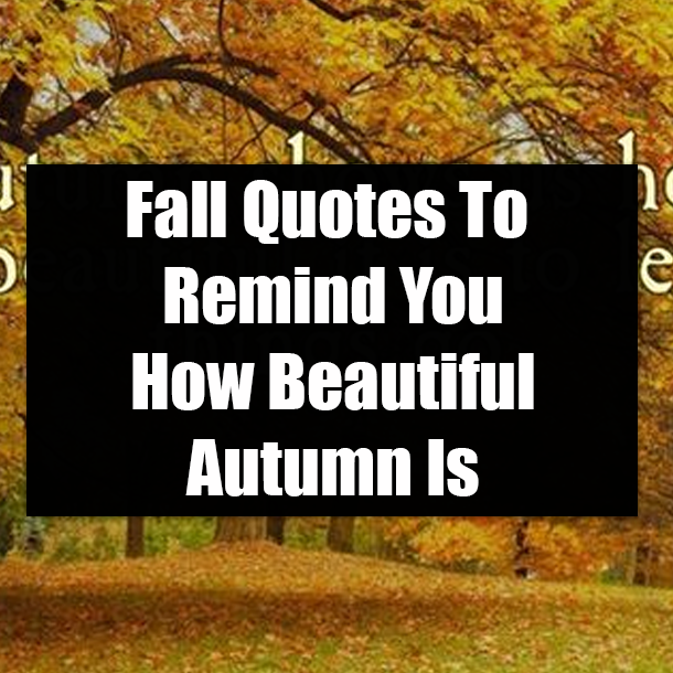 Fall Quotes To Remind You How Beautiful Autumn Is