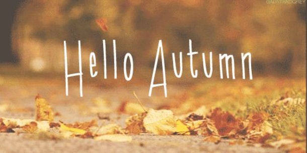 Fall Quotes To Remind You How Beautiful Autumn Is - picture 11