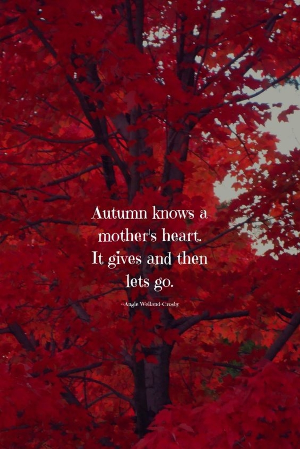 Fall Quotes To Remind You How Beautiful Autumn Is - picture 2