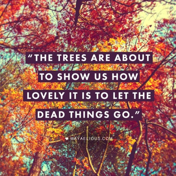 Fall Quotes To Remind You How Beautiful Autumn Is - picture 3