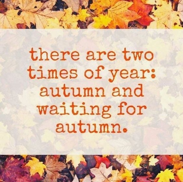 Fall Quotes To Remind You How Beautiful Autumn Is - picture 5
