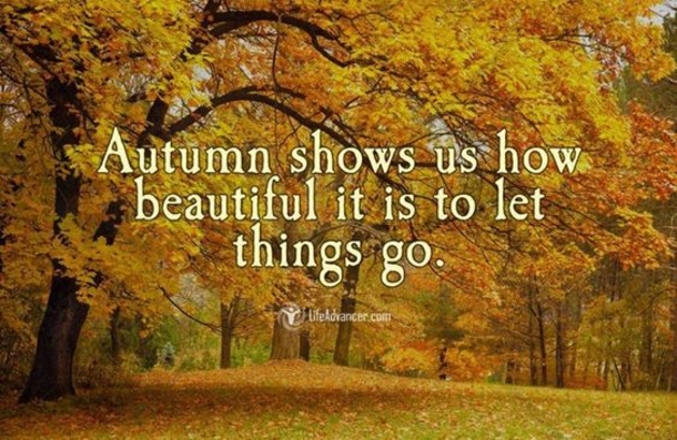 Fall Quotes To Remind You How Beautiful Autumn Is - picture 7