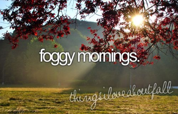 Fall Quotes To Remind You How Beautiful Autumn Is - picture 9