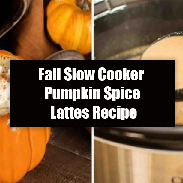 Fall Slow Cooker Pumpkin Spice Lattes Recipe