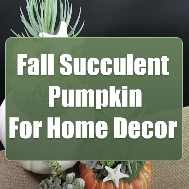 Fall Succulent Pumpkin For Home Decor
