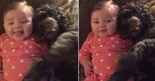 Family Dog Killed After Saving 8-Month-Old Baby In House Fire - picture 2