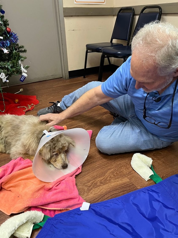 Family extremely happy after reuniting with dog who disappeared 7 years ago: ‘The surprise of a lifetime’ - picture 4
