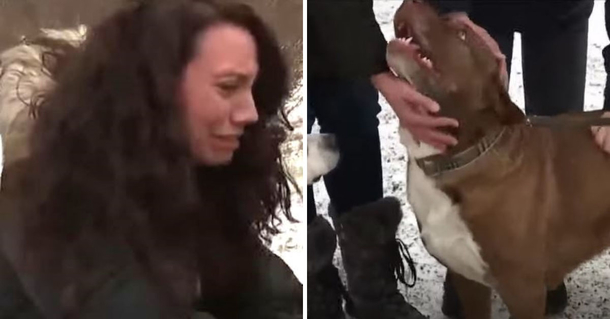 Family has very emotional reunion with loving dog that was gone for 6 months - picture 2