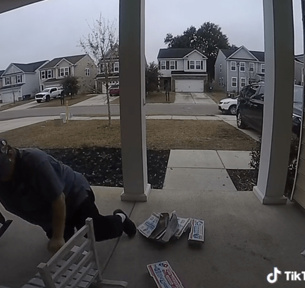 Family helps raise over $250,000 for 72-year-old pizza delivery worker who fell on their porch, in order for her to retire - picture 3