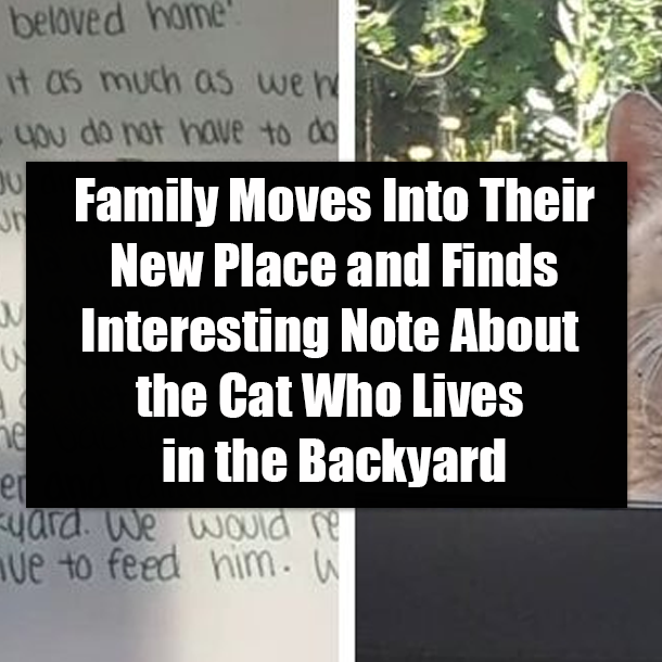 Family Moves Into Their New Place and Finds Interesting Note About the Cat Who Lives in the Backyard