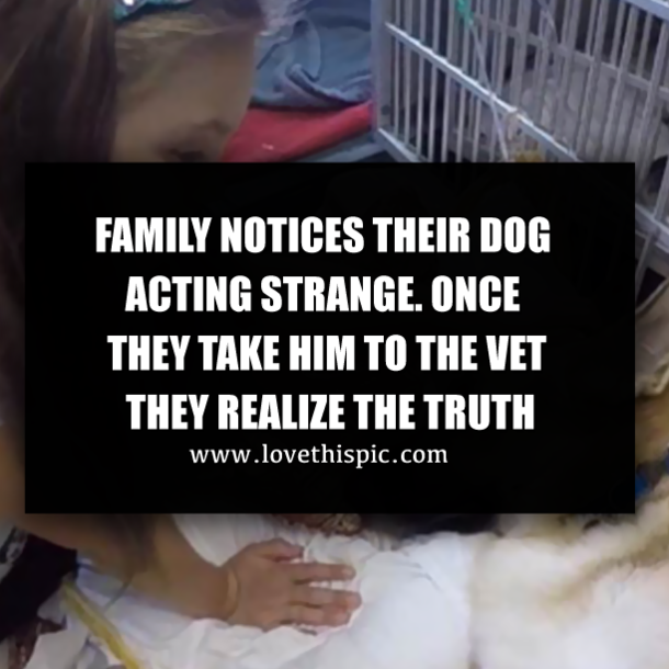 FAMILY NOTICES THEIR DOG ACTING STRANGE. ONCE THEY TAKE HIM TO THE VET THEY REALIZE THE TRUTH
