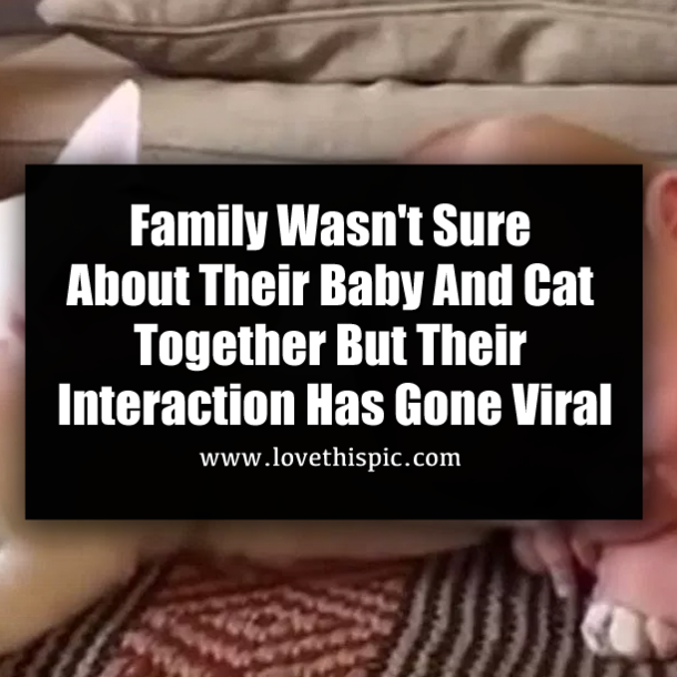 Family Wasn't Sure About Their Baby And Cat Together But Their Interaction Has Gone Viral