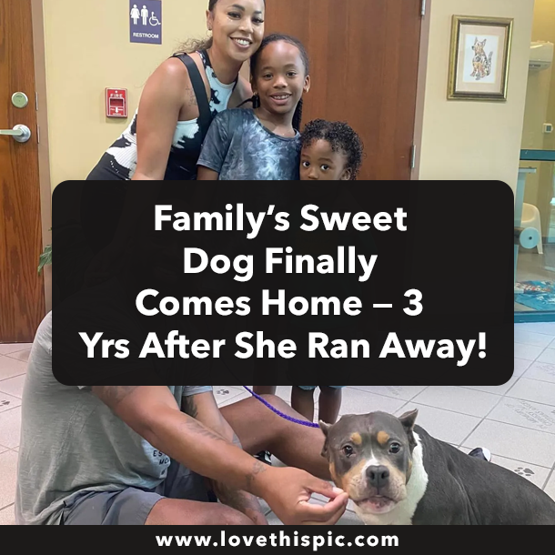 Family’s Sweet Dog Finally Comes Home — 3 Yrs After She Ran Away!
