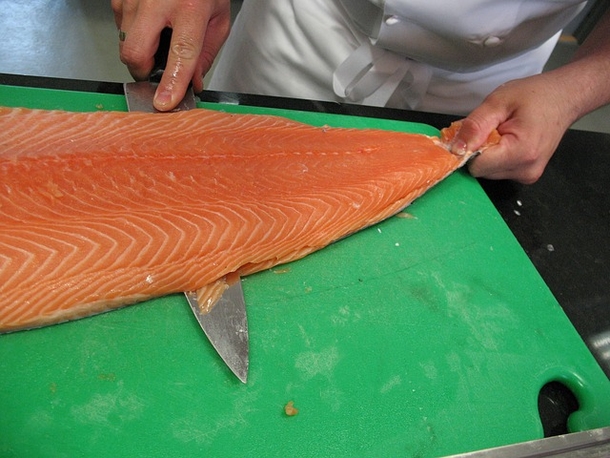 Farmed Salmon — One of the Most Toxic Foods in the World - picture 2