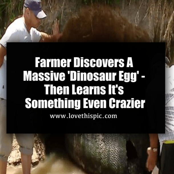 Farmer Discovers A Massive 'Dinosaur Egg' - Then Learns It's Something Even Crazier