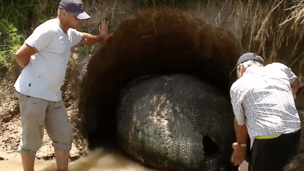 Farmer Discovers A Massive 'Dinosaur Egg' - Then Learns It's Something Even Crazier - picture 2