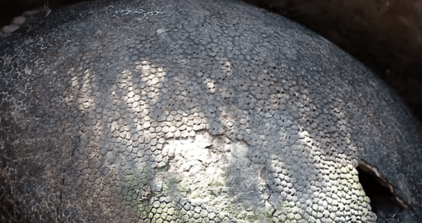 Farmer Discovers A Massive 'Dinosaur Egg' - Then Learns It's Something Even Crazier - picture 3