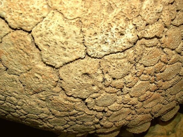 Farmer Discovers A Massive 'Dinosaur Egg' - Then Learns It's Something Even Crazier - picture 4