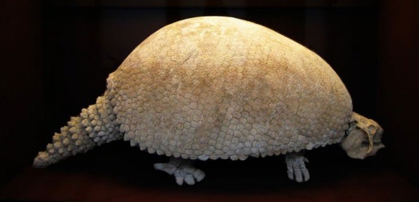 Farmer Discovers A Massive 'Dinosaur Egg' - Then Learns It's Something Even Crazier - picture 5