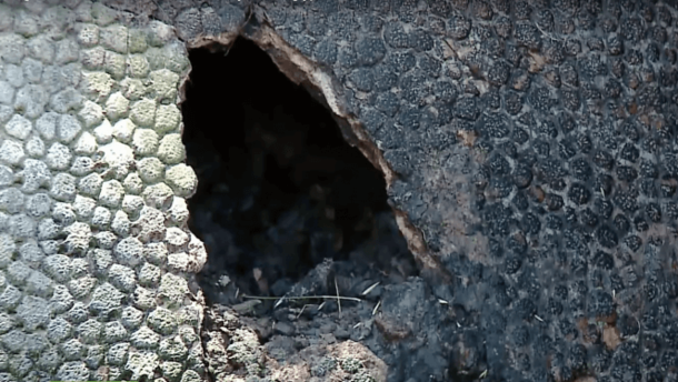 Farmer Discovers A Massive 'Dinosaur Egg' - Then Learns It's Something Even Crazier - picture 7