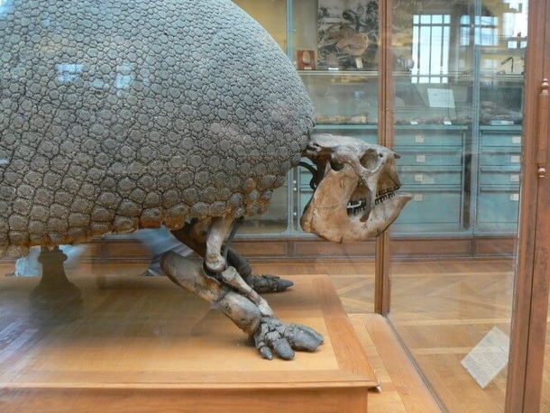 Farmer Discovers A Massive 'Dinosaur Egg' - Then Learns It's Something Even Crazier - picture 8