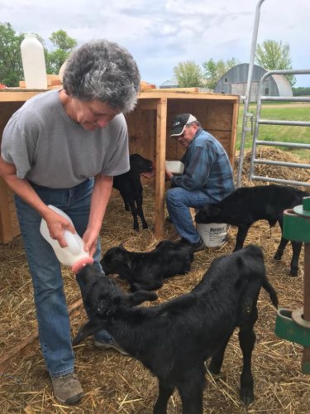 Farmer Realized Cow Was Pregnant, When She Gave Birth, Everyone Was Taken Aback - picture 2