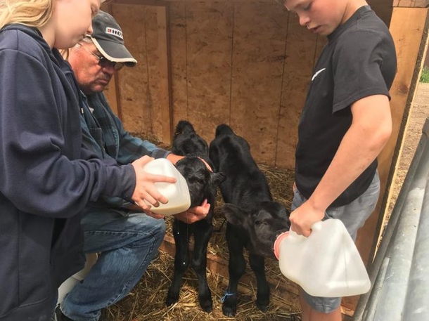Farmer Realized Cow Was Pregnant, When She Gave Birth, Everyone Was Taken Aback - picture 3
