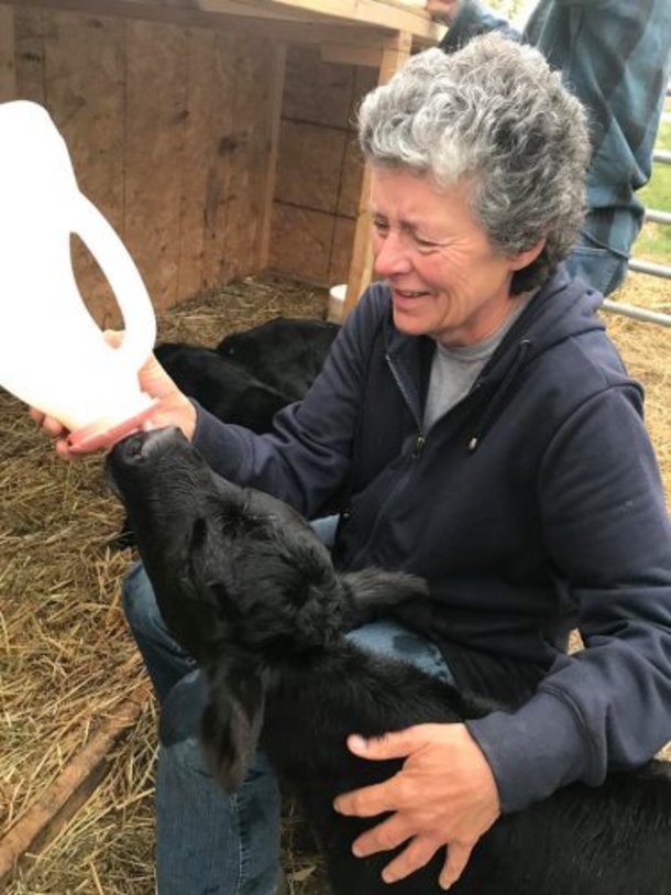 Farmer Realized Cow Was Pregnant, When She Gave Birth, Everyone Was Taken Aback - picture 5