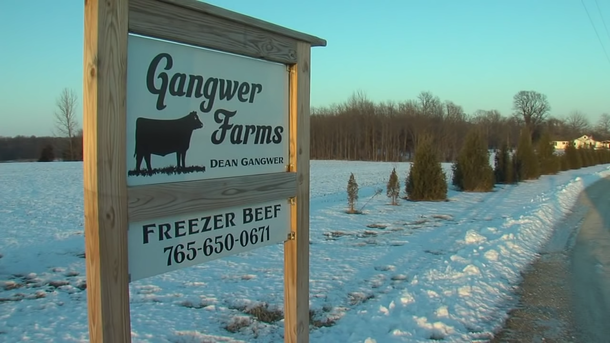 Farmer sees newborn calf freezing in the snow — and saves his life using his hot tub! - picture 2