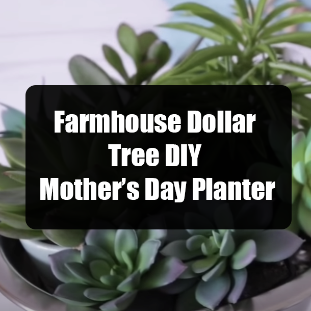 Farmhouse Dollar Tree DIY Mother’s Day Planter