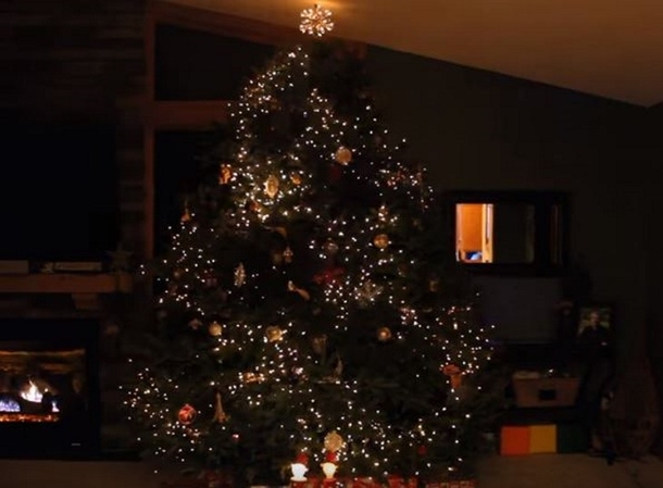 Father Decorates Christmas Tree With Lights, Moments Later, Music Plays & The Most Amazing Thing Happens - picture 2