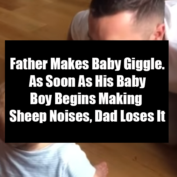 Father Makes Baby Giggle. As Soon As His Baby Boy Begins Making Sheep Noises, Dad Loses It