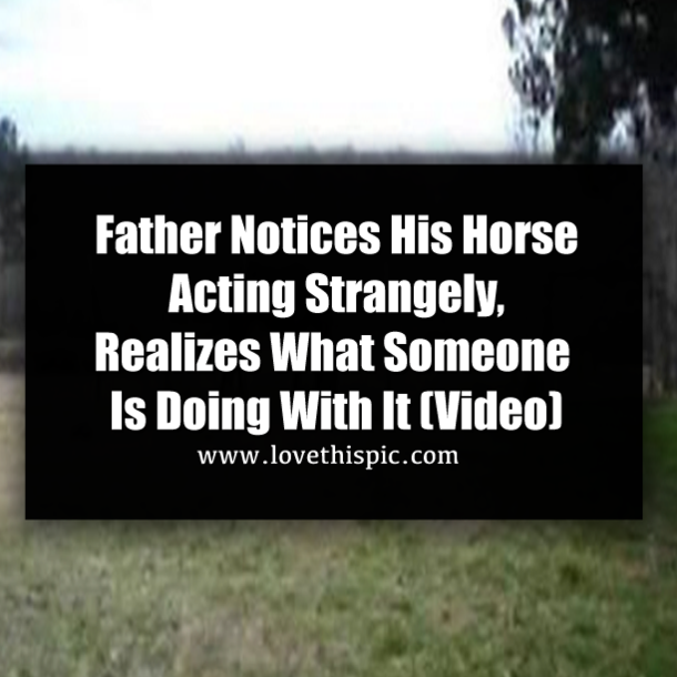 Father Notices His Horse Acting Strangely, Realizes What Someone Is Doing With It (Video)