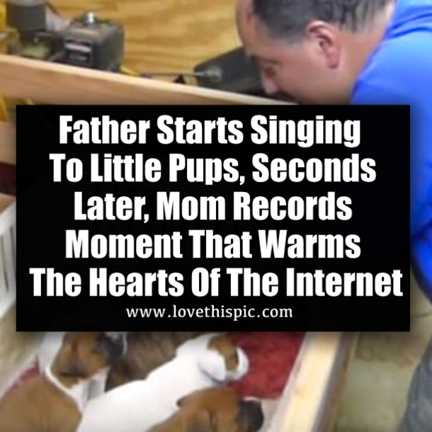 Father Starts Singing To Little Pups, Seconds Later, Mom Records Moment That Warms The Hearts Of The Internet