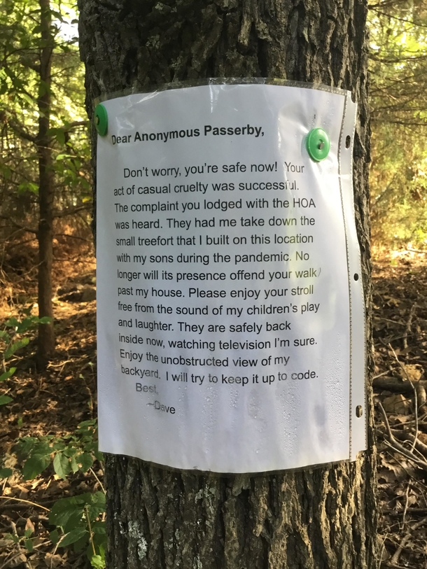 Father writes interesting response to stranger whose complaint forced him to remove his kids’ treehouse - picture 2