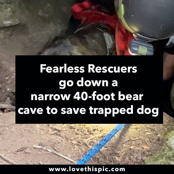 Fearless Rescuers go down a narrow 40-foot bear cave to save trapped dog