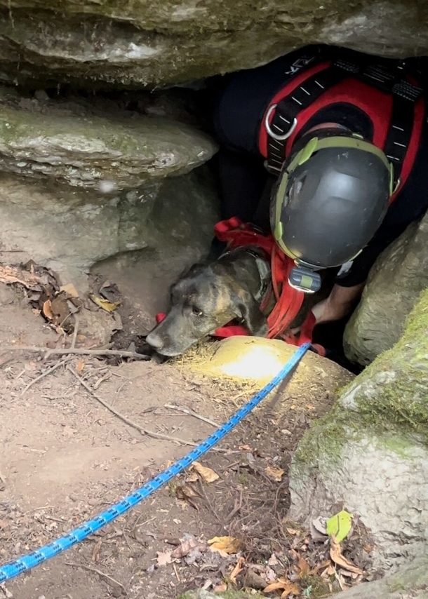 Fearless Rescuers go down a narrow 40-foot bear cave to save trapped dog - picture 2