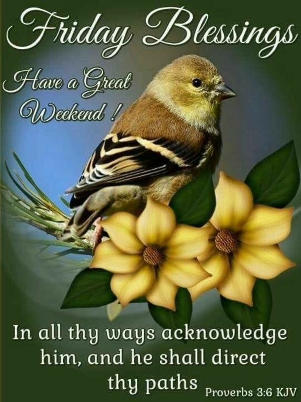 Feel Blessed With These 10 Friday Quotes To Start The Weekend! - picture 12